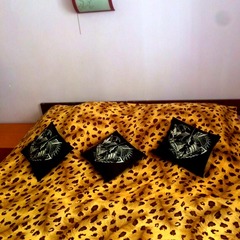 Хостел Кот Матроскинн на Орловском, Санкт-Петербург, Ленинградская область