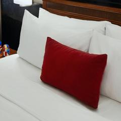 Отель Ренессанс Балтик, Санкт-Петербург, Ленинградская область