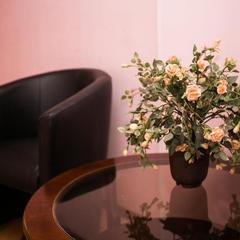 Отель Красный Терем, Санкт-Петербург, Ленинградская область