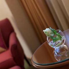 Отель Ренессанс Балтик, Санкт-Петербург, Ленинградская область