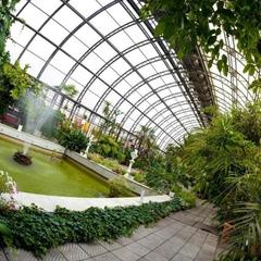 Мини-отель Петропавловский, Санкт-Петербург, Ленинградская область