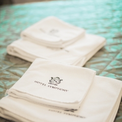 Гостиница Симфония, Санкт-Петербург, Ленинградская область