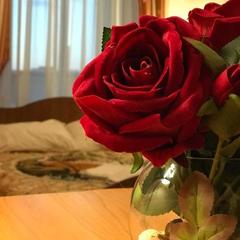 Мини-отель Петропавловский, Санкт-Петербург, Ленинградская область