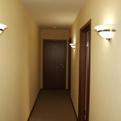 Мини-отель Samsonov Hotel Adagio, Санкт-Петербург, Ленинградская область