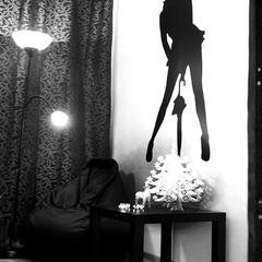 Гостиница Хамелеон, Санкт-Петербург, Ленинградская область