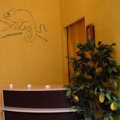 Гостиница Хамелеон, Санкт-Петербург, Ленинградская область