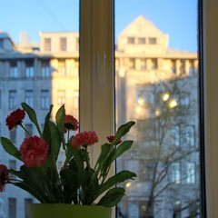 Гостевой дом Рада, Санкт-Петербург, Ленинградская область