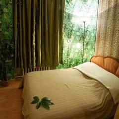 Гостиница Хамелеон, Санкт-Петербург, Ленинградская область