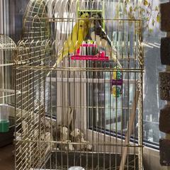 Отель Аглая Кортъярд, Санкт-Петербург, Ленинградская область