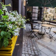 Отель Аглая Кортъярд, Санкт-Петербург, Ленинградская область