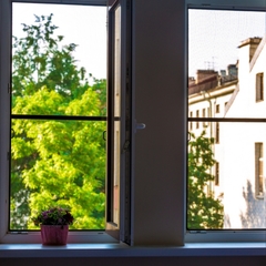 Гостиница Талисман, Санкт-Петербург, Ленинградская область