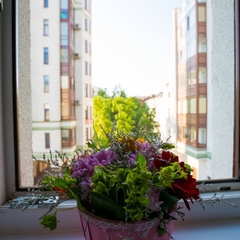 Гостиница Талисман, Санкт-Петербург, Ленинградская область