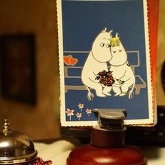 Мини-отель Мумий Тролль, Санкт-Петербург, Ленинградская область