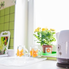 Хостел Мишаня, Санкт-Петербург, Ленинградская область