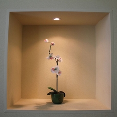 Гостиница Рапсодия, Санкт-Петербург, Ленинградская область