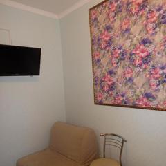 Гостевой дом Ирэна, Санкт-Петербург, Ленинградская область