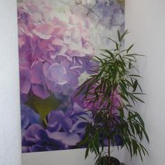 Гостевой дом Ирэна, Санкт-Петербург, Ленинградская область