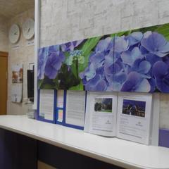 Гостевой дом Ирэна, Санкт-Петербург, Ленинградская область