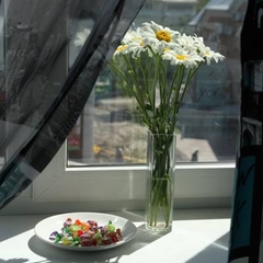 Отель Мой Отель, Санкт-Петербург, Ленинградская область