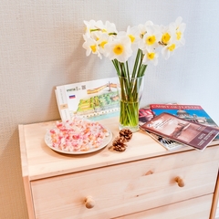 Апартамент Piter Palace Diamond Apartments, Санкт-Петербург, Ленинградская область