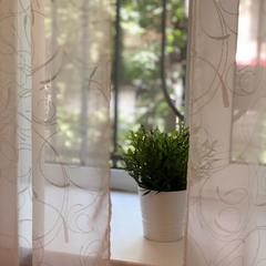 Мини-отель Караванная, Санкт-Петербург, Ленинградская область