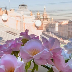 Отель Друзья у Дома Книги, Санкт-Петербург, Ленинградская область