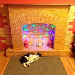 Хостел Rooms.SPb, Санкт-Петербург, Ленинградская область