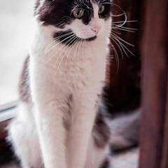 Хостел Rooms.SPb, Санкт-Петербург, Ленинградская область