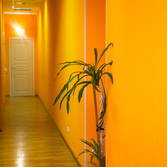 Хостел Hotelhot Гостиный дом на Невском, Санкт-Петербург, Ленинградская область