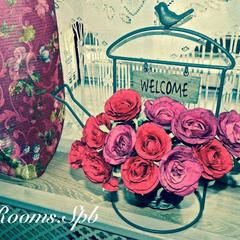 Хостел Rooms.SPb, Санкт-Петербург, Ленинградская область