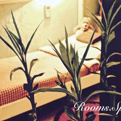 Хостел Rooms.SPb, Санкт-Петербург, Ленинградская область