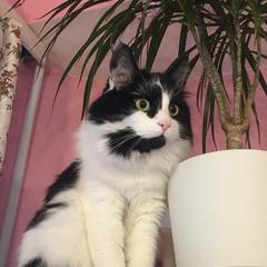 Хостел Rooms.SPb, Санкт-Петербург, Ленинградская область