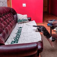 Хостел Rooms.SPb, Санкт-Петербург, Ленинградская область