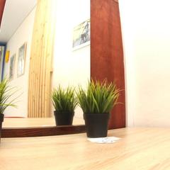 Хостел BedAndBike Gorokhovaya, Санкт-Петербург, Ленинградская область