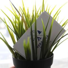 Хостел BedAndBike Gorokhovaya, Санкт-Петербург, Ленинградская область