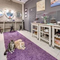 Апартамент ArtApart House Gallery Hotel, Санкт-Петербург, Ленинградская область