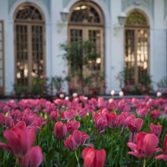 Отель Dom Boutique, Санкт-Петербург, Ленинградская область