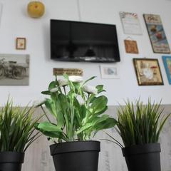 Хостел BedAndBike Gorokhovaya, Санкт-Петербург, Ленинградская область