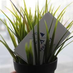 Хостел BedAndBike Gorokhovaya, Санкт-Петербург, Ленинградская область