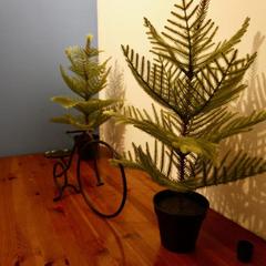 Хостел BedAndBike Gorokhovaya, Санкт-Петербург, Ленинградская область