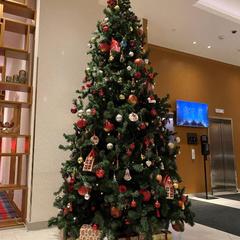 Отель Hampton by Hilton ExpoForum, Санкт-Петербург, Ленинградская область