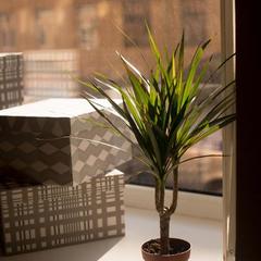 Хостел Чехов, Санкт-Петербург, Ленинградская область