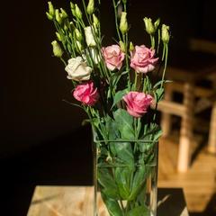 Хостел Чехов, Санкт-Петербург, Ленинградская область