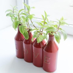 Хостел Влюбиться, Санкт-Петербург, Ленинградская область