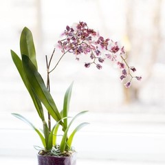 Хостел Влюбиться, Санкт-Петербург, Ленинградская область