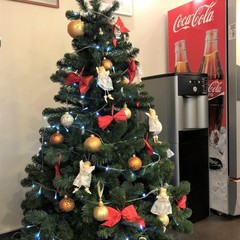 Мини-отель Алегрия, Санкт-Петербург, Ленинградская область