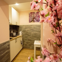 Усадьба на Елизарова, Санкт-Петербург, Ленинградская область