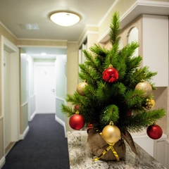 Мини-отель Аллея, Санкт-Петербург, Ленинградская область