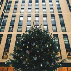 Апарт-отель Авеню, Санкт-Петербург, Ленинградская область