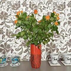 Отель Тучков, Санкт-Петербург, Ленинградская область